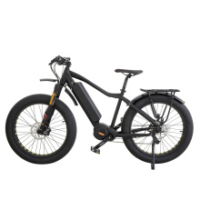 Fat Tire Lithium Battery Electric Bicycle with MID Drive Motor